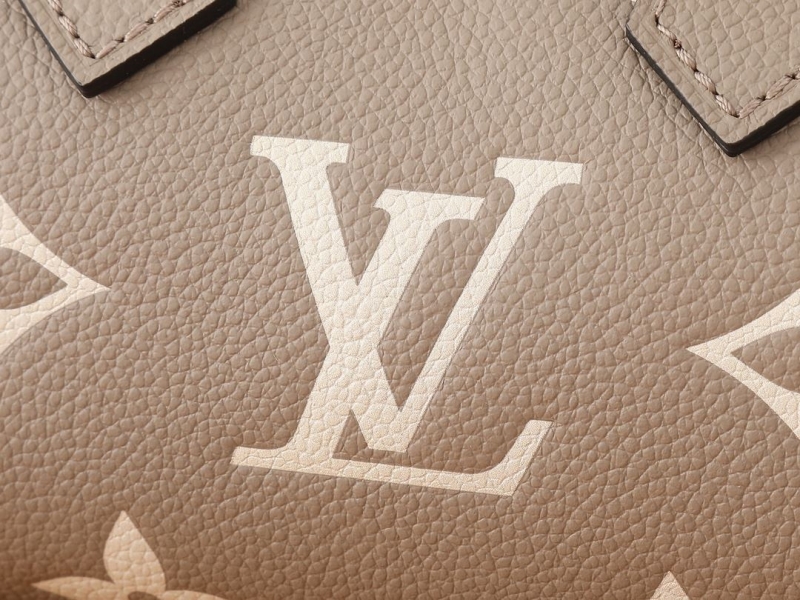 LV Speedy Bags